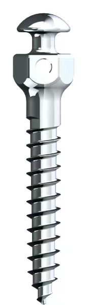 Micro screw - Titanium alloy series
